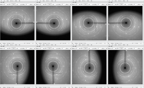 Fig. 3: Example for different orientations of the same image