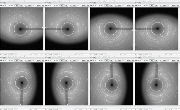 Fig. 3: Example for different orientations of the same image Fig. 3: Example for different orientations of the same image